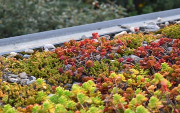 the cost of Memus green roof installation