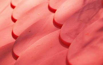 Memus plastic roof costs